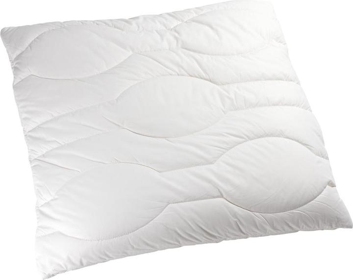 Image du produit Johann Jakob Luna-Linolana (65 x 65 cm)