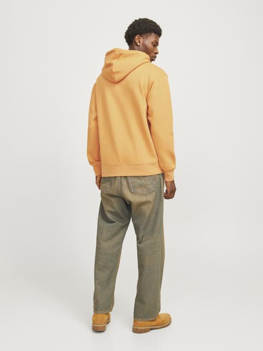 Immagine prodotto Jack & Jones Felpa con cappuccio stampata Felpa con cappuccio (S)