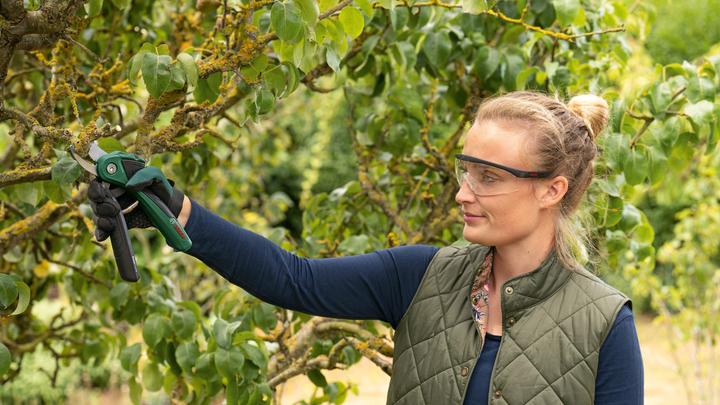Productafbeelding Bosch Home & Garden Accu-tuinschaar EasyPrune