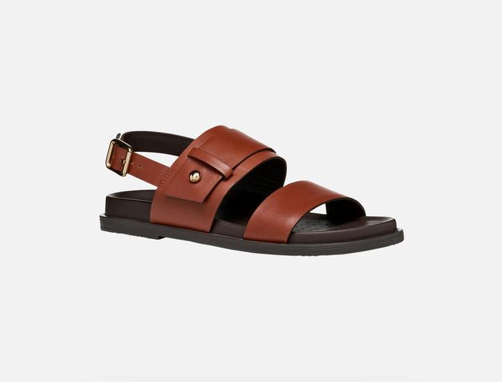 Actual product image Geox Adelash (40)