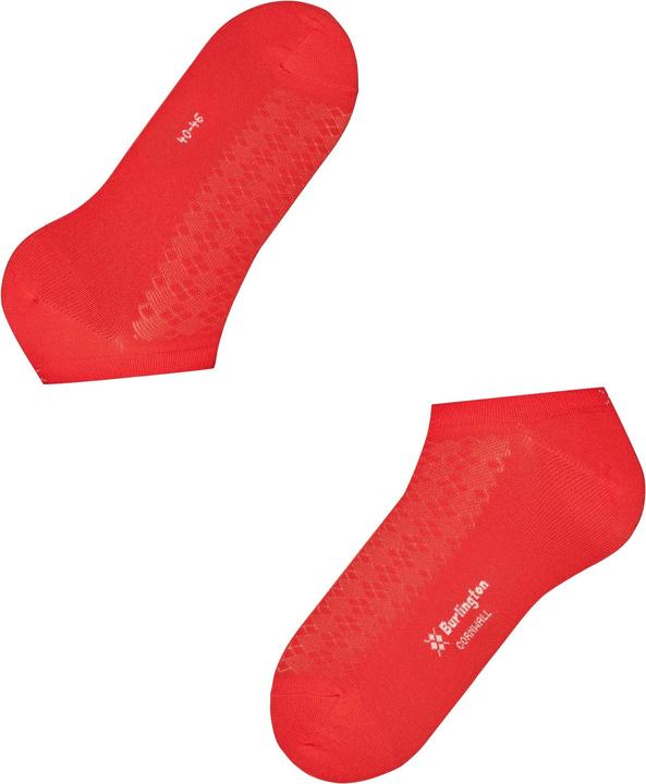 Produktbild Burlington Cornwall (Einzelpack, 40 - 46)