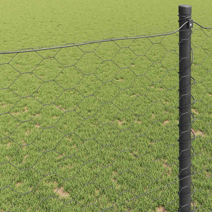 Produktbild vidaXL Hexagonzaun