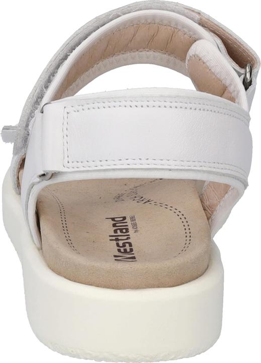 Produktbild Westland 25401-410 (38)