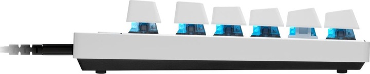 Produktbild Logitech Pro X Tkl Rapid (Eng. Int., Kabelgebunden)
