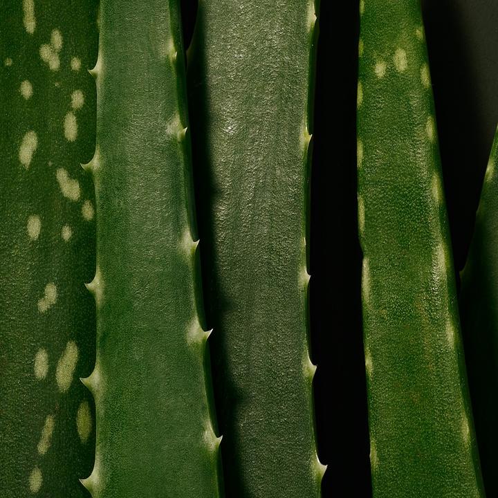 Actual product image Babor MICROBIOMIC - Moisture Glow Serum (30 ml)