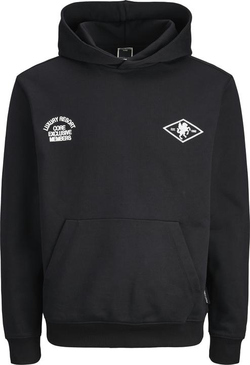 Produktbild Jack & Jones Kapuzenpullover Kapuzenpullover (M)