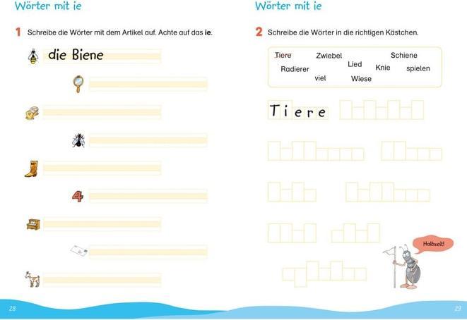 Productafbeelding Tessloff Fit für Rechtschreibung 2. Klasse. Mein Übungsheft (Duits, Guido Wandrey, Sonja Reichert, 2024)