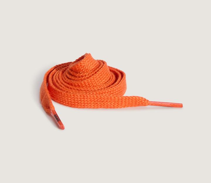 Actual product image Vans Laces