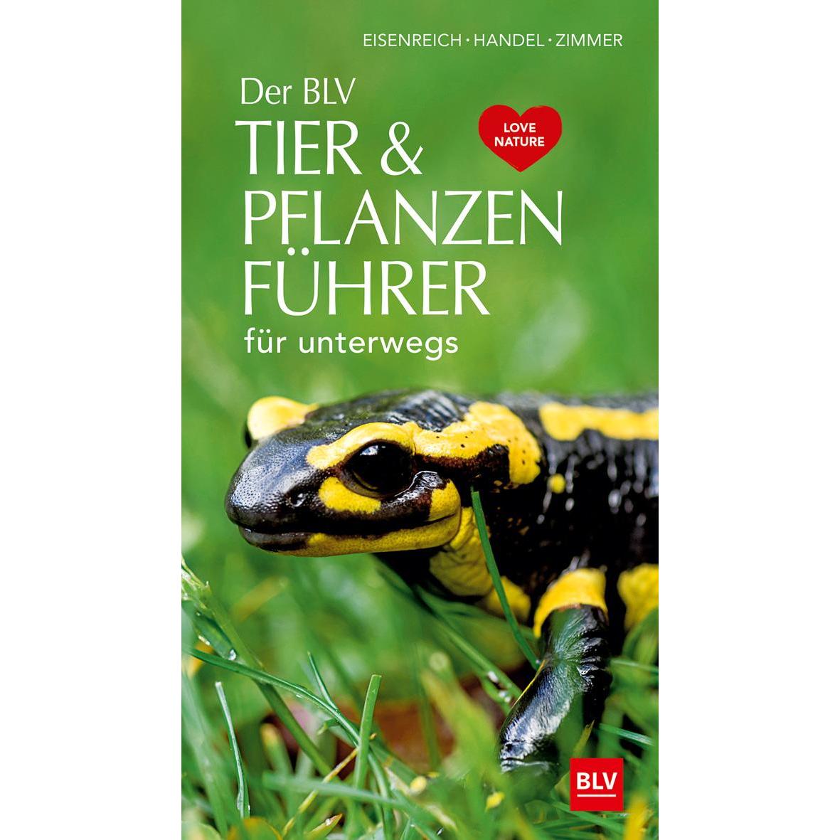 Der Tier & Pflanzenführer, Ratgeber von Ute E. Zimmer, Wilhelm Eisenreich, Alfred Handel