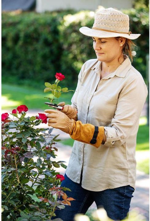 Produktbild Felco 705M Rosenhandschuhe, Grösse M (M)