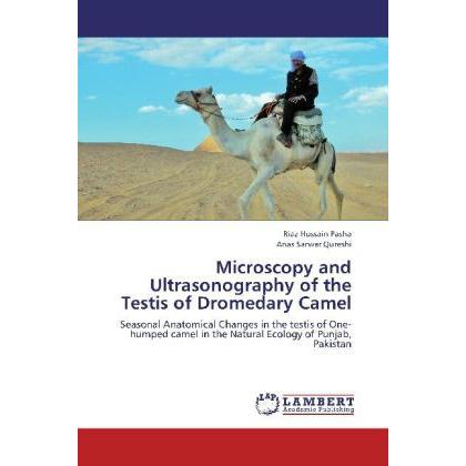 Microscopy and Ultrasonography of the Testis of Dromedary Camel, Fachbücher von Anas Sarwar Qureshi, Riaz Hussain Pasha