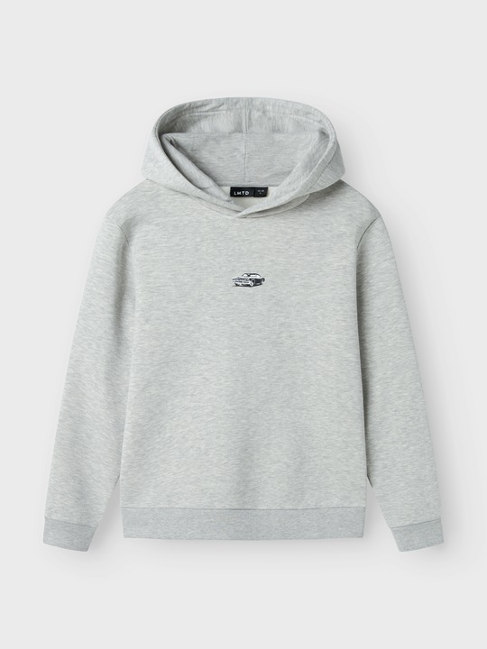 Produktbild Lmtd Regular Fit Hoodie (134)