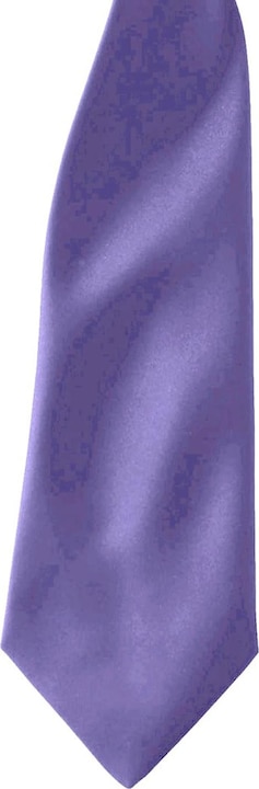 Image du produit Premier Cravate en satin à clipser (pack de 2)