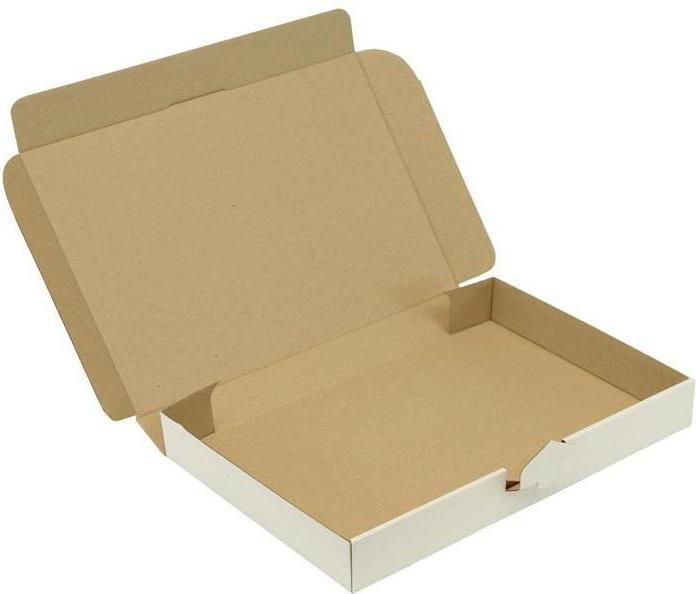 Actual product image Transpak Hinged box 1-wall dimensions 338x230x42mm C4 1.2E white push-in seal white (100x)