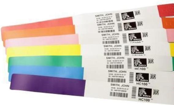 Immagine prodotto Zebra Schizzo Z-Band (2.54 cm, Verde)