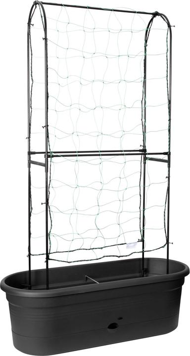 Produktbild Elho Green Basics (33 x 78 x 25 cm)