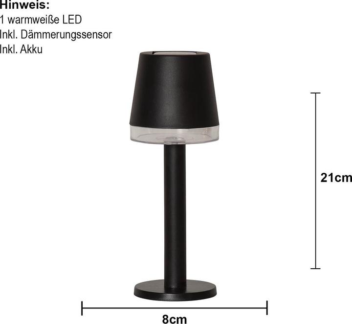 Produktbild Star Trading Solar Dekoration Parvus (IP44)