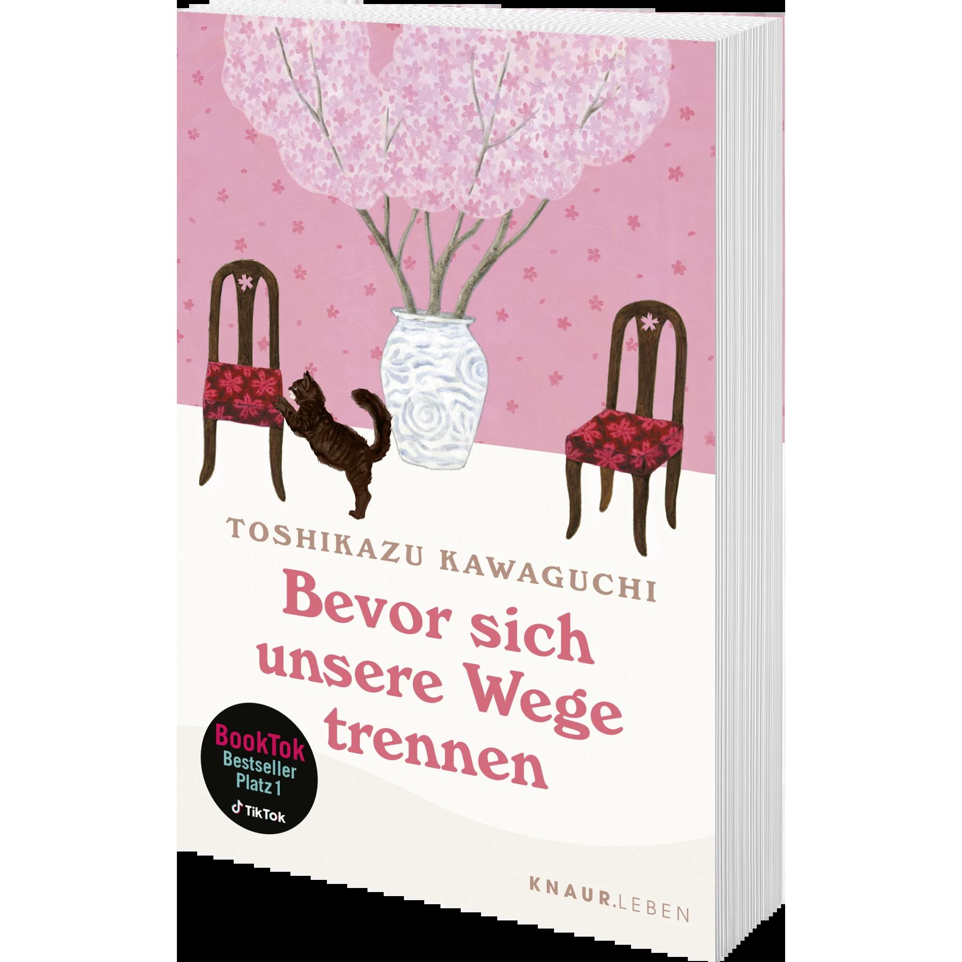 Thumbnail - Bevor sich unsere Wege trennen, Ratgeber von Toshikazu Kawaguchi, Friedrich Pflüger