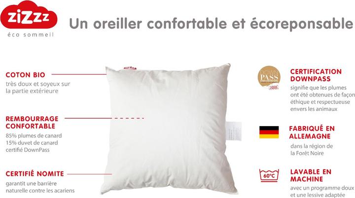 Produktbild Zizzz Bio Entendaunenkissen (65 x 65 cm)