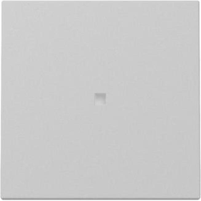 Gira, Zubehör Schalterprogramm, Wippe Kontrollf.