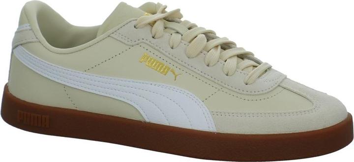 Beige, Neve alpina, Puma Bianco