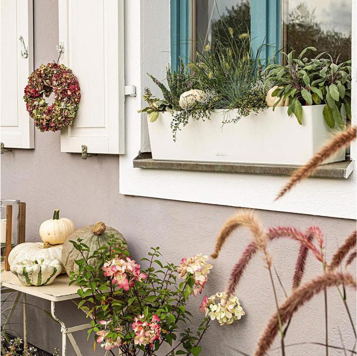 Productafbeelding Lechuza Balconera Kleur (79 x 19 x 19 cm)