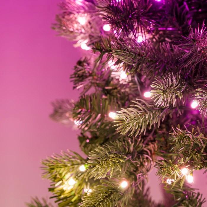 Produktbild Twinkly Wstępnie oświetlony wieniec – 50 RGB LED Regal 24 zielony przewód typ wtyczki C (0.02 m)