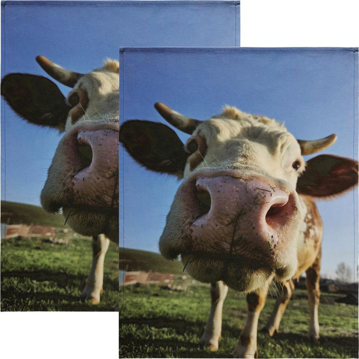 Produktbild Erwin Müller Geschirrtuch 2er-Pack (70 x 50 cm)