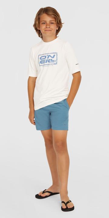 Actual product image O'Neill VERT 14" SWIMSHORTS (140)