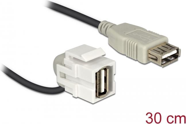 Image du produit Delock Jack Keystone : USB2.0,110° coudé (0.24 m, USB 2.0)