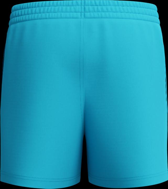 Image du produit Speedo Essentials 13" Watershort (S)