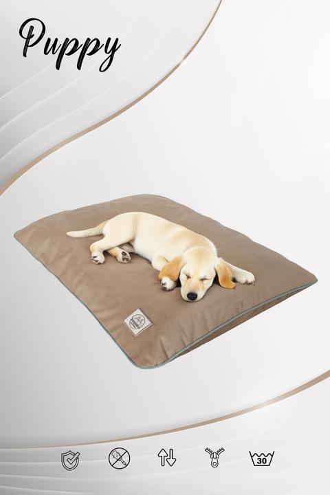 Actual product image Paws & Whiskers Puppy Dog M Pet Bed (Cat, Dog)