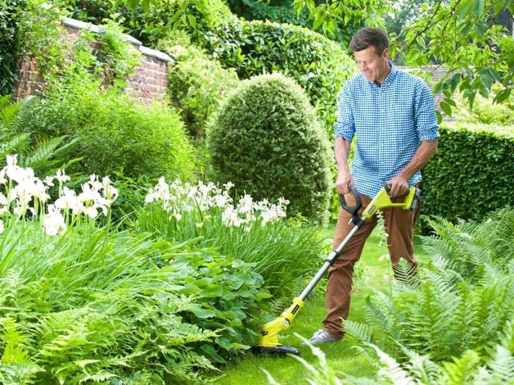 Productafbeelding Ryobi RLT183225F (Onkruidverdelgers)