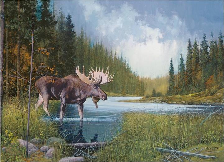 Actual product image Cobble Hill Moose in the lake 1000 parts (1000 pieces)