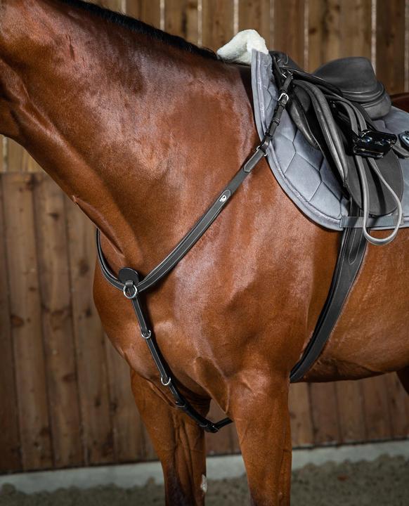 Produktbild Dy'on Jagdhalsband für Pferde