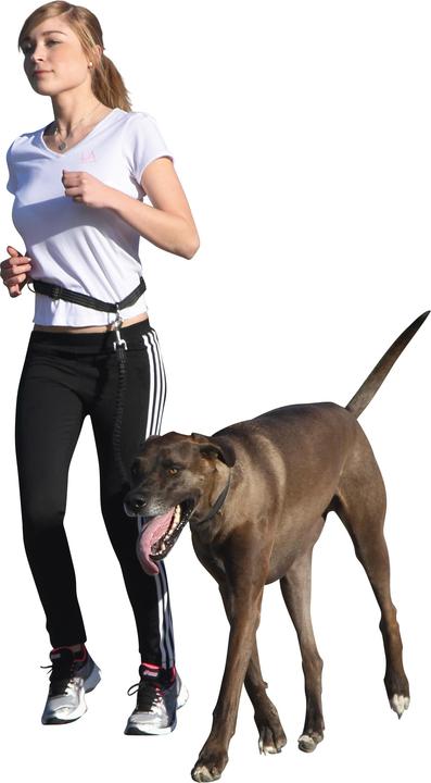 Produktbild Kerbl Active (Hund)