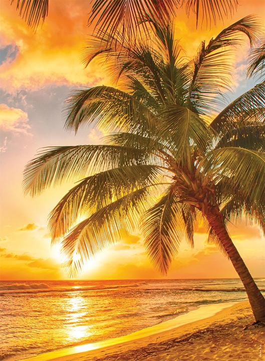 Ravensburger Mare e monti (500 pezzi)