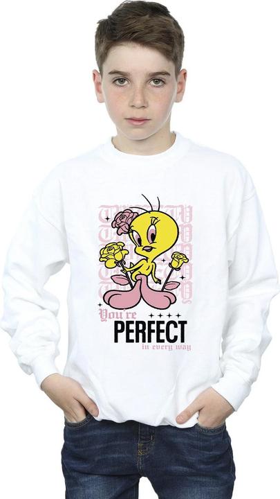 Image du produit Looney Tunes - Sweat YOU'RE PERFECT - Garçon (140)