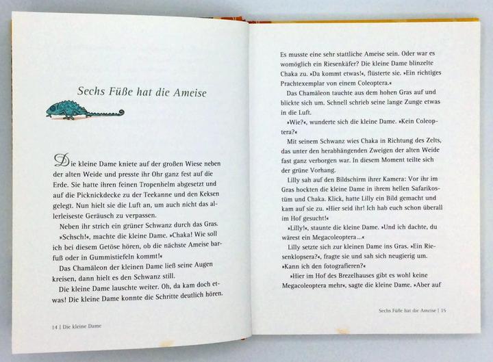 Produktbild Die kleine Dame auf Salafari (Stefanie Taschinski, Deutsch)