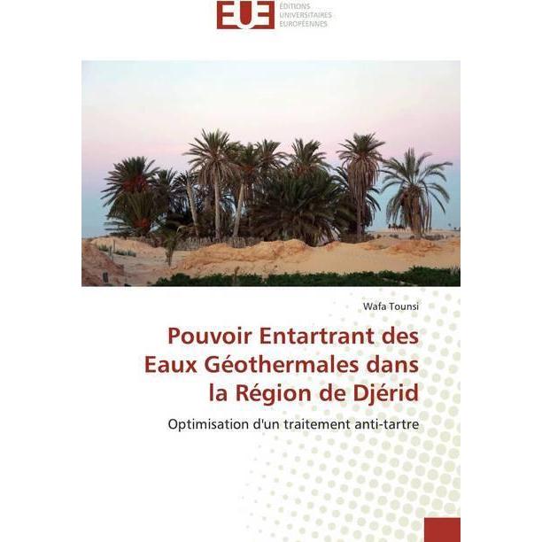 Pouvoir Entartrant des Eaux Géothermales dans la Région de Djérid, Fachbücher von Wafa Tounsi