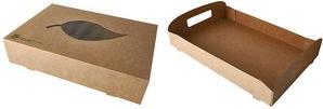 Actual product image Papstar 87955 Disposable Food Container Cardboard, Polylactide (PLA) (10 x)