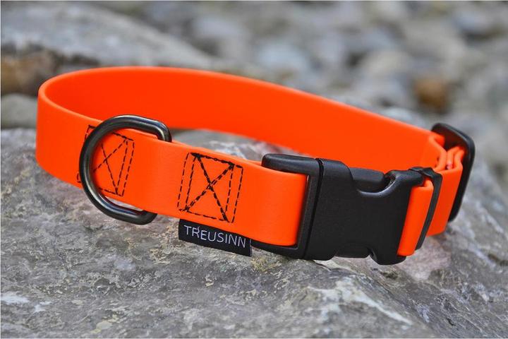 Immagine prodotto Treusinn. Collare per cani Biothane STAY (S, Cane, Generale)