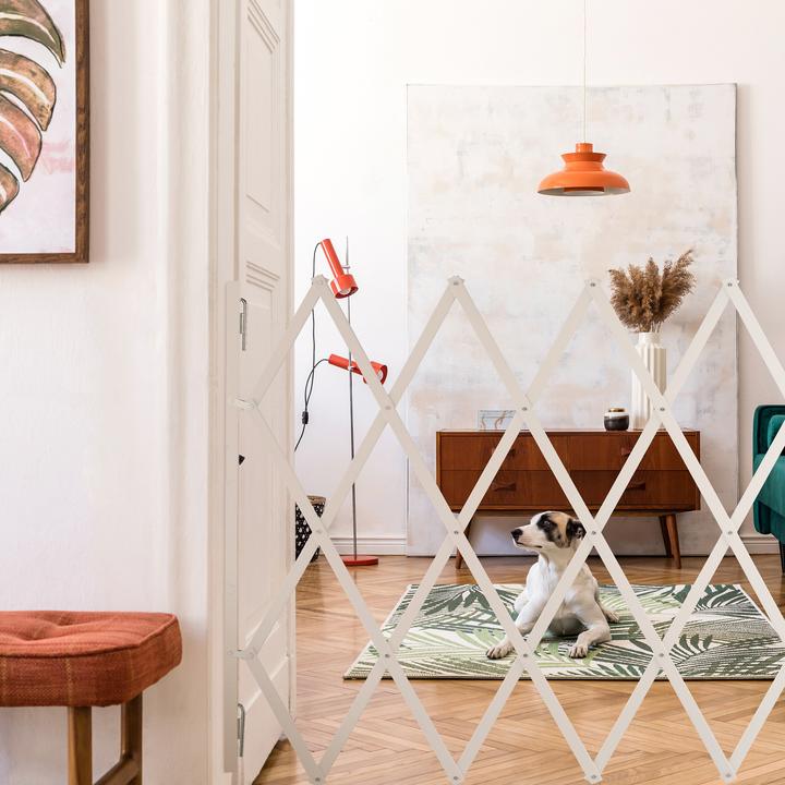 Image du produit Relaxdays Barrière pour chiens (3 cm)