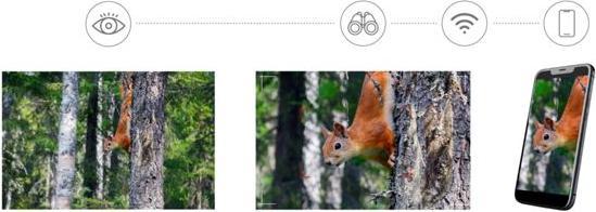 Image du produit Levenhuk Kelvin Snap ED 8x42 Digital Photobinoculars (8x, 42 mm)