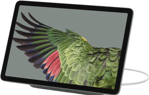 Actual product image Google Pixel EU (WLAN only, 10.95", 256 GB, Hazel)