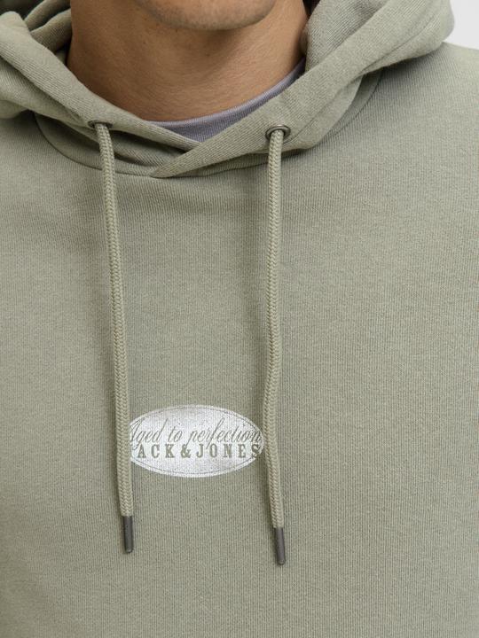 Produktbild Jack & Jones Jjedetroit Sweat Hood Styd Aw25 (L)