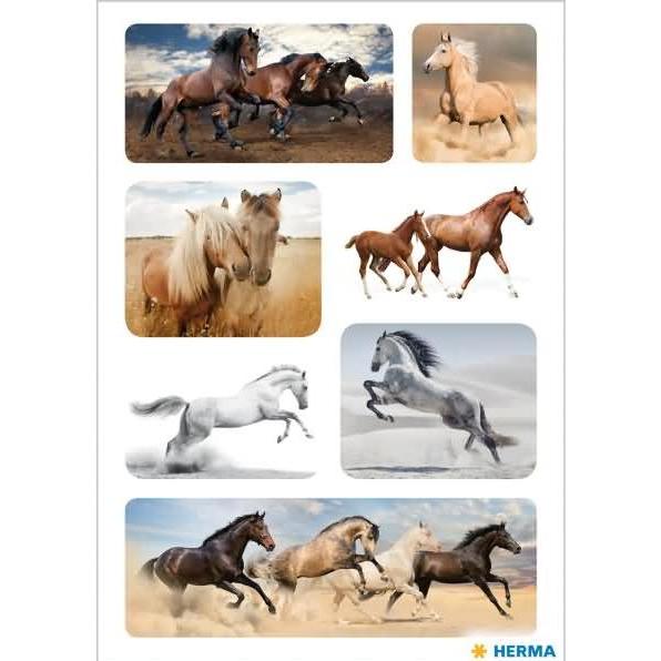 Magni, Sticker, Sticker DECOR Wildpferde