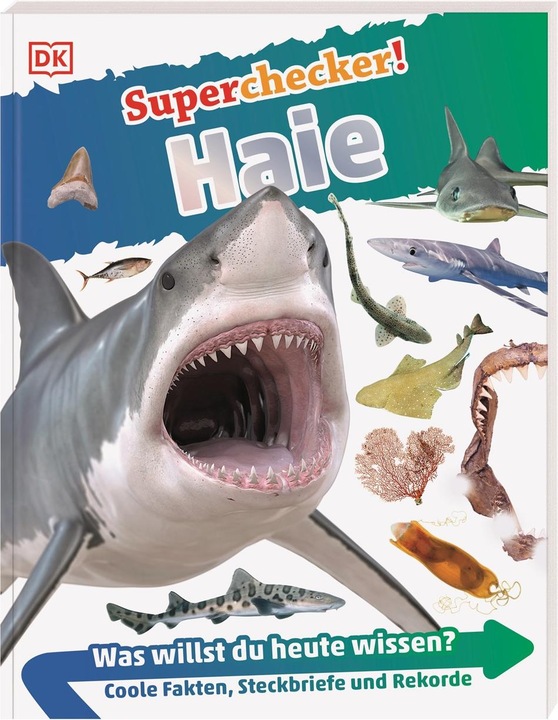 Produktbild Superchecker! Haie (Deutsch, Sarah Fowler, 2019)
