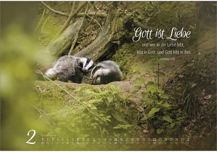 Produktbild Real Wildlife 2026 (49 x 34 cm)