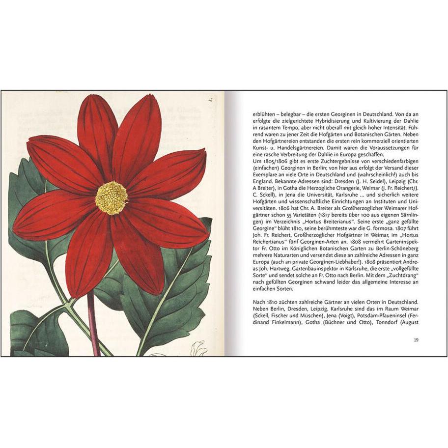 Thumbnail - In Hülle & Fülle - Das Dahlien-Album, Belletristik von St. Benno